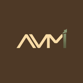 Logo AVM Consult